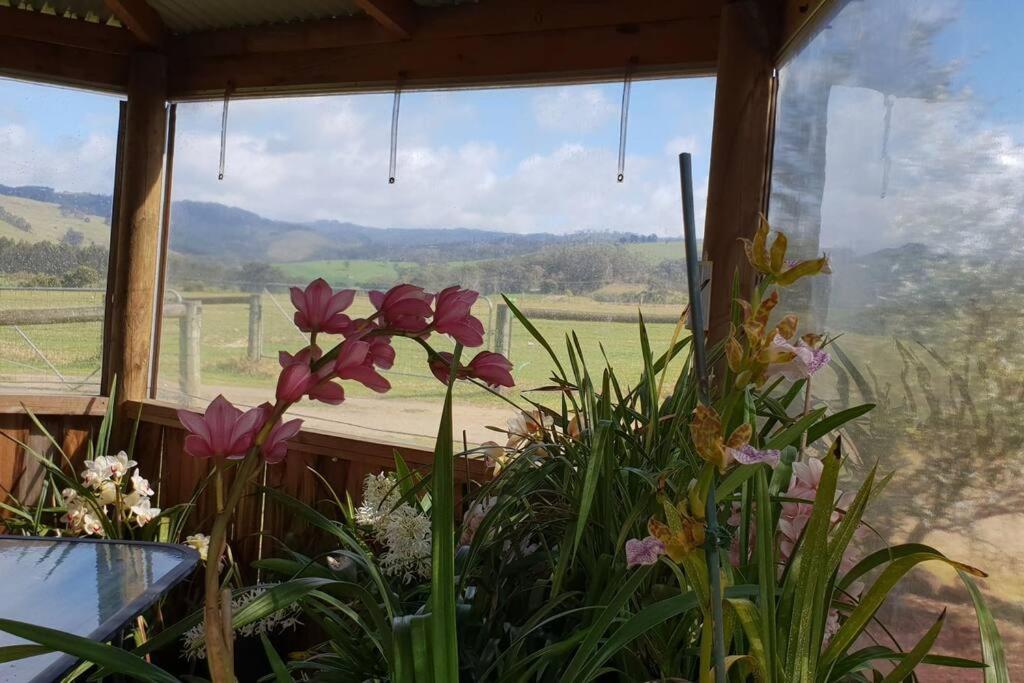 Handsome Hills Dairy Retreat Won Wron Exterior photo