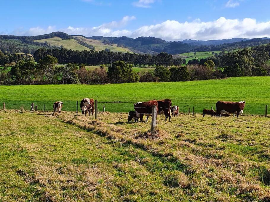 Handsome Hills Dairy Retreat Won Wron Exterior photo